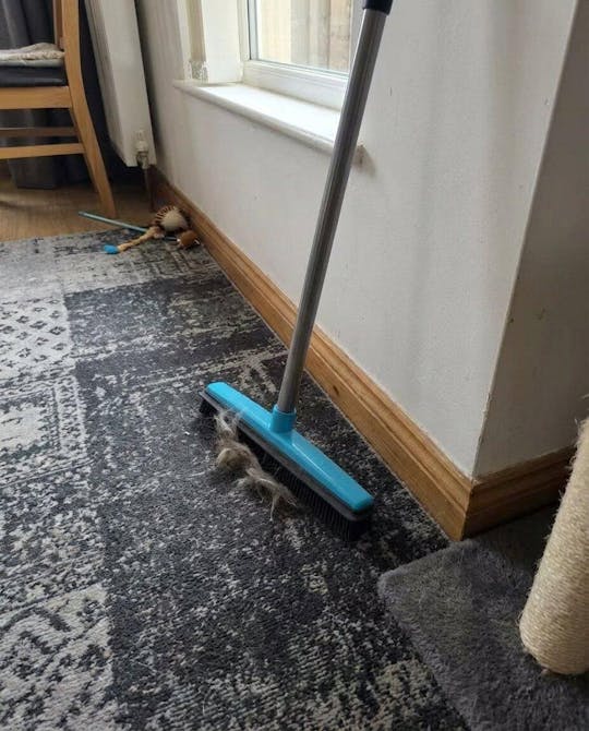 RakRygg – Smidig städning utan värk