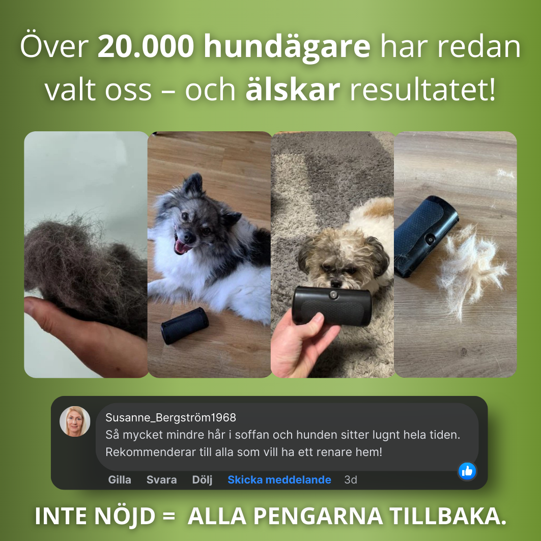 Hundborsten som fungerar – Skonsam vård, mindre fällning