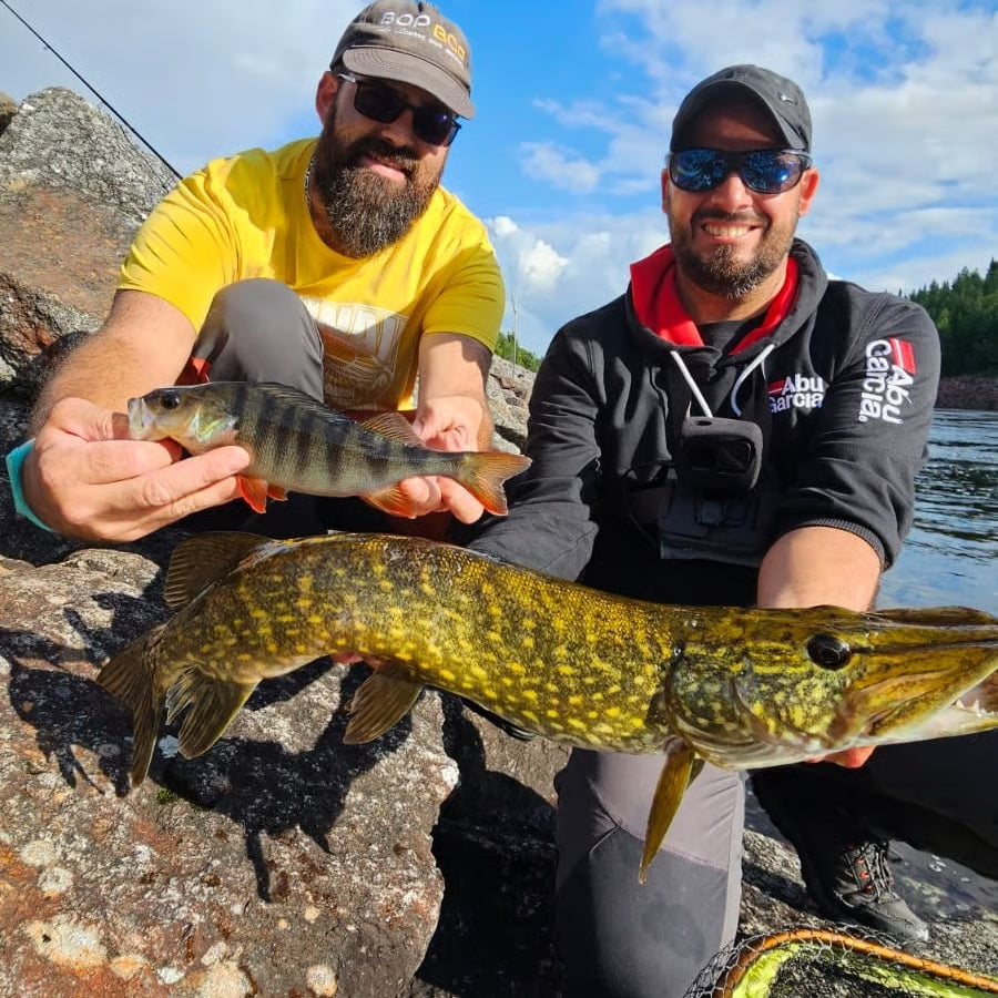 FiskeLycka – 24 dagar, 24 chanser till drömfångst