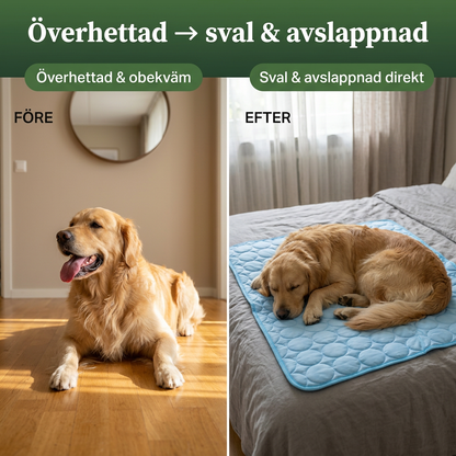 SvalTass – Omedelbar svalka för din hund