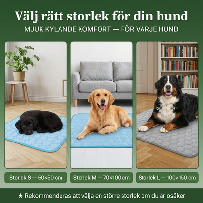 SvalTass – Omedelbar svalka för din hund