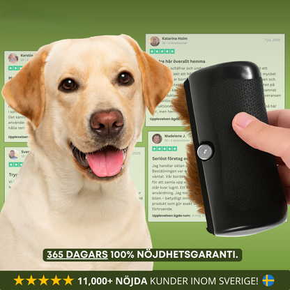 Hundborsten som fungerar – Skonsam vård, mindre fällning