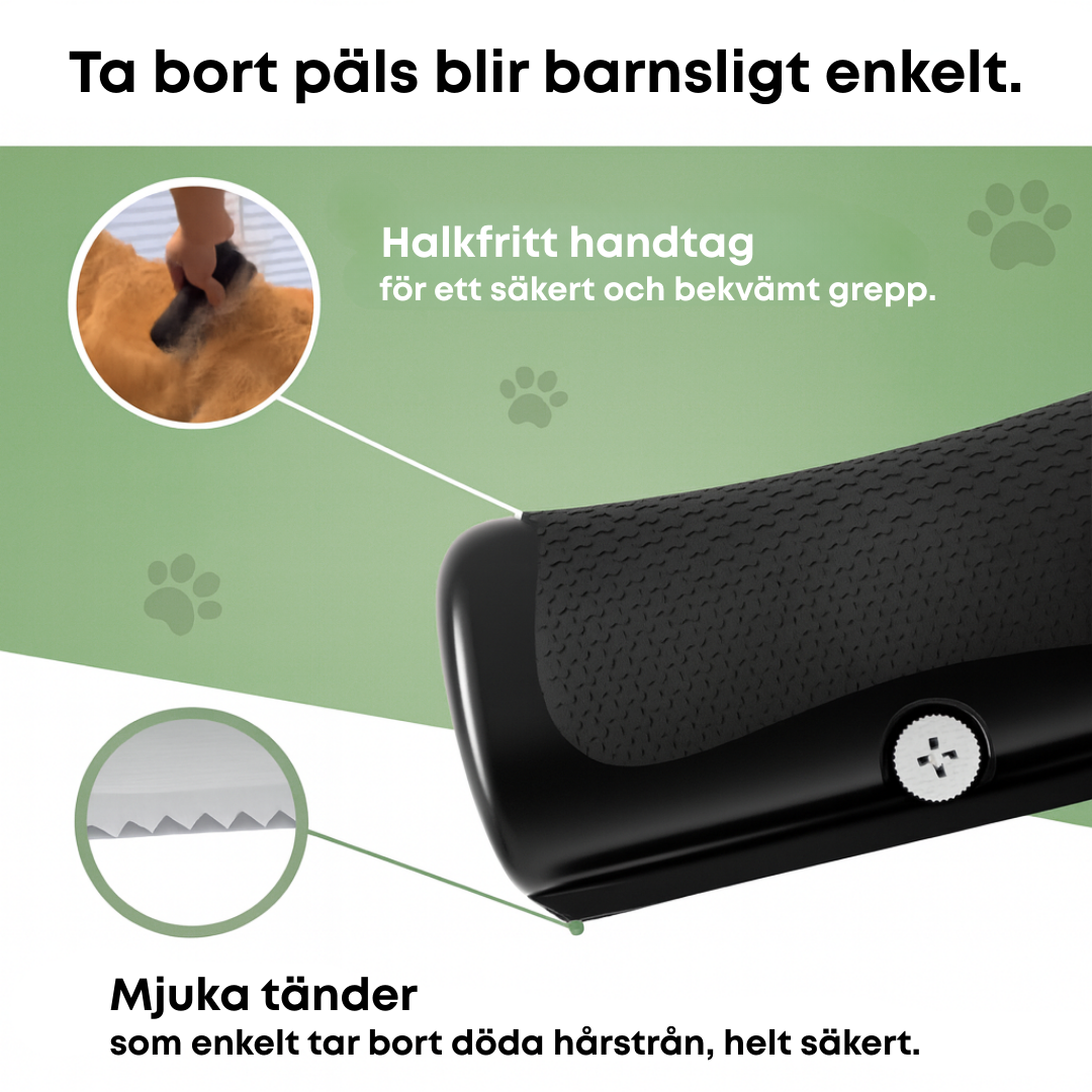 Hundborsten som fungerar – Skonsam vård, mindre fällning