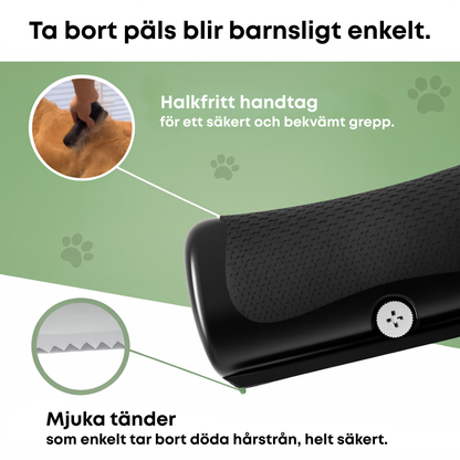 Hundborsten som fungerar – Skonsam vård, mindre fällning