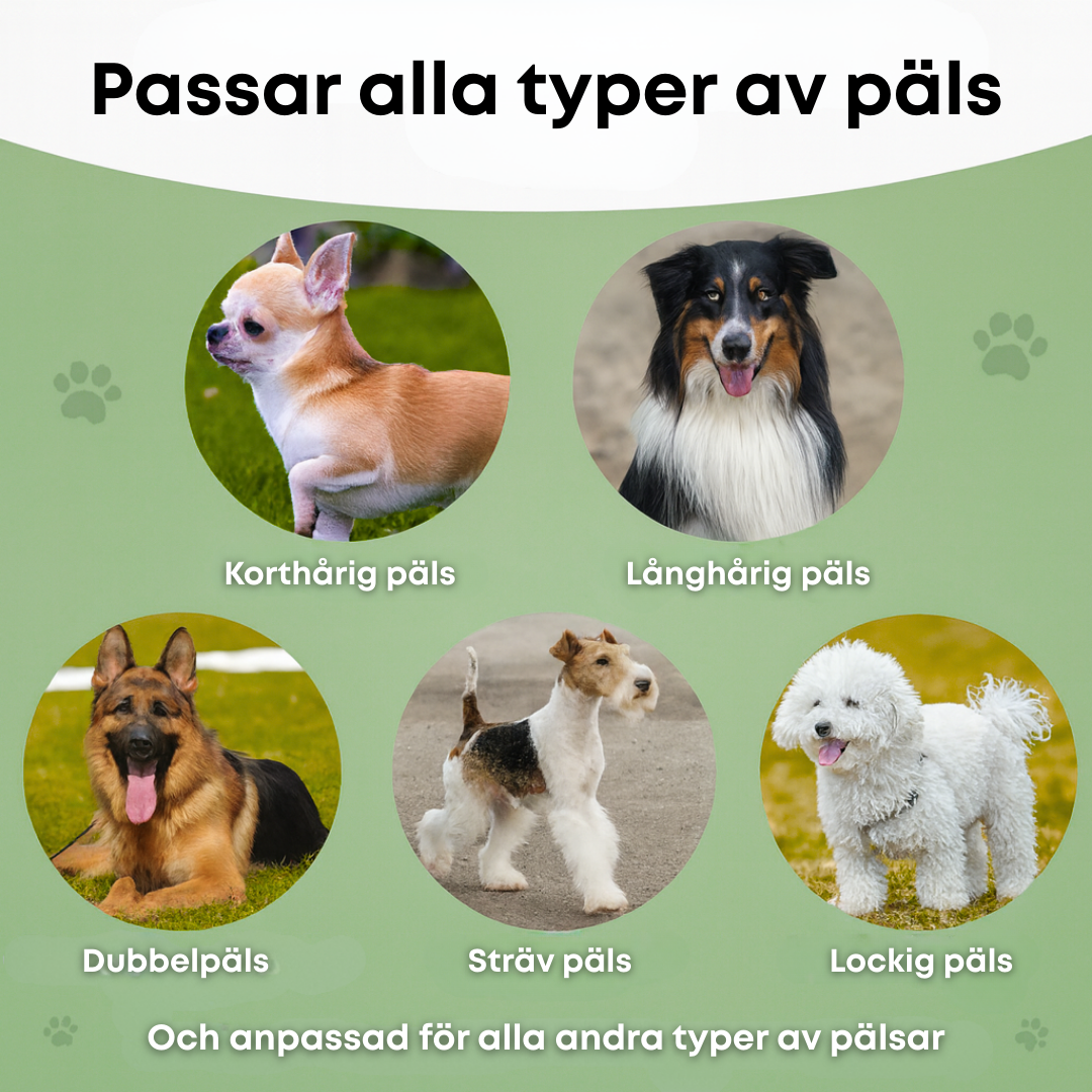 Hundborsten som fungerar – Skonsam vård, mindre fällning