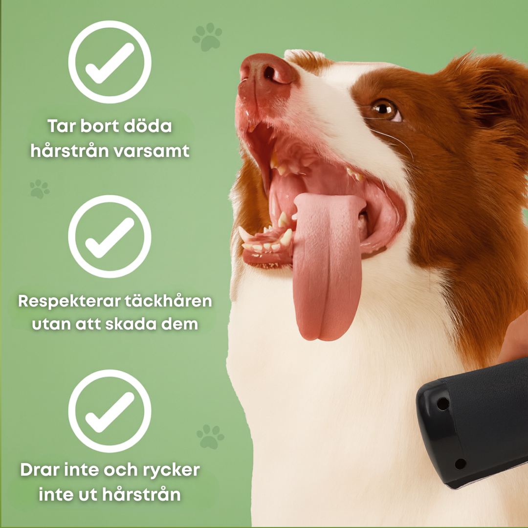 Hundborsten som fungerar – Skonsam vård, mindre fällning
