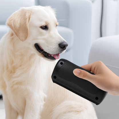 Hundborsten som fungerar – Skonsam vård, mindre fällning