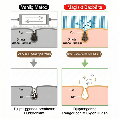 RenRygg – Hygienisk djuprengöring