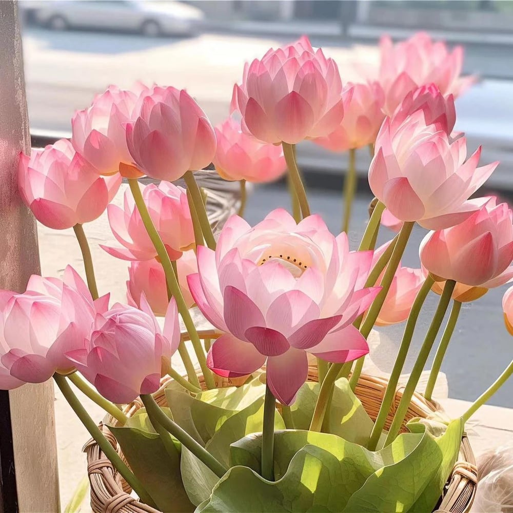 ZenLotus – Skapa lugn och harmoni
